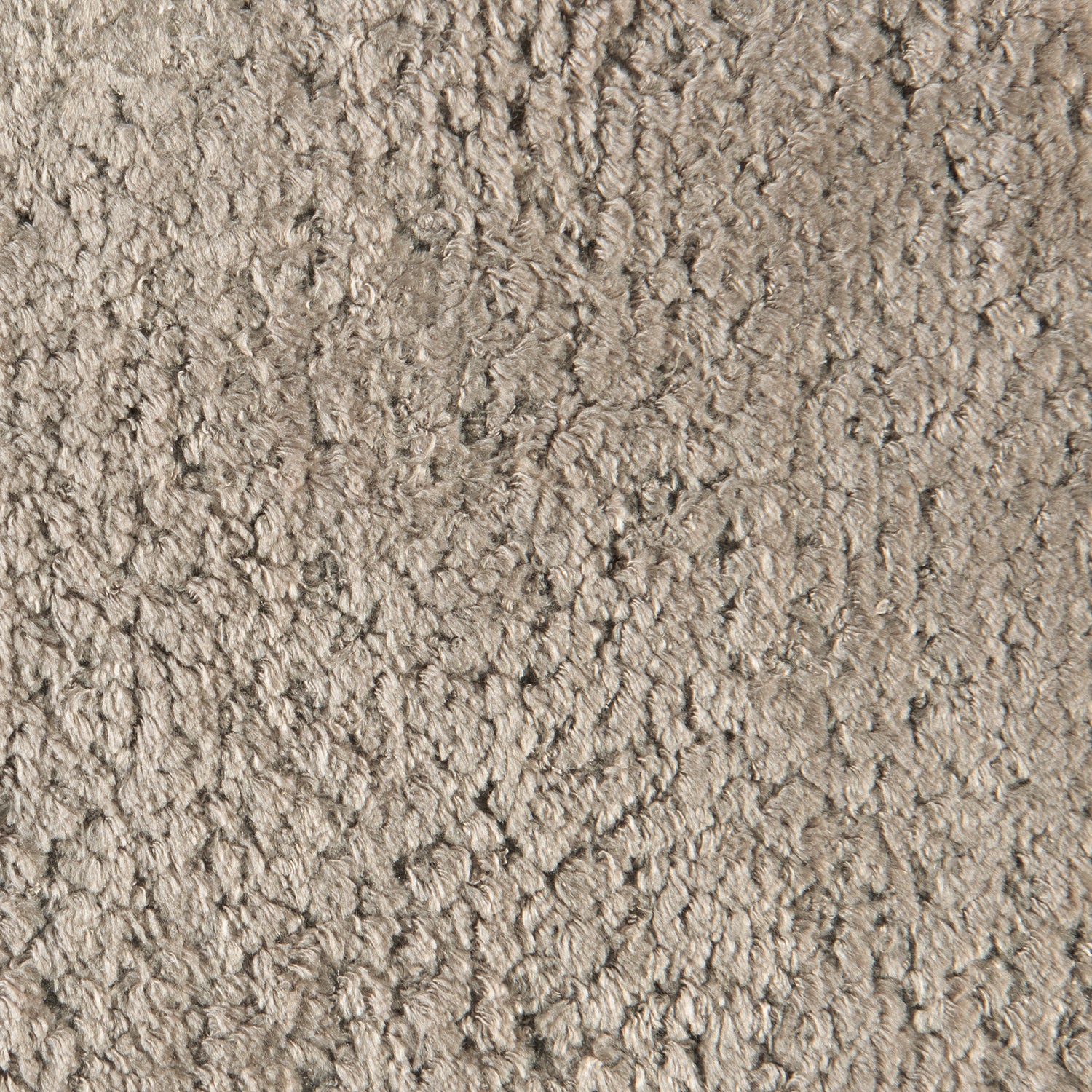 Caracole Small Wonder