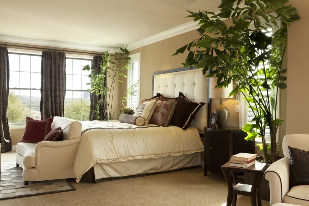 Adding house plants is a simple way to make your home feel fresh and beautiful.